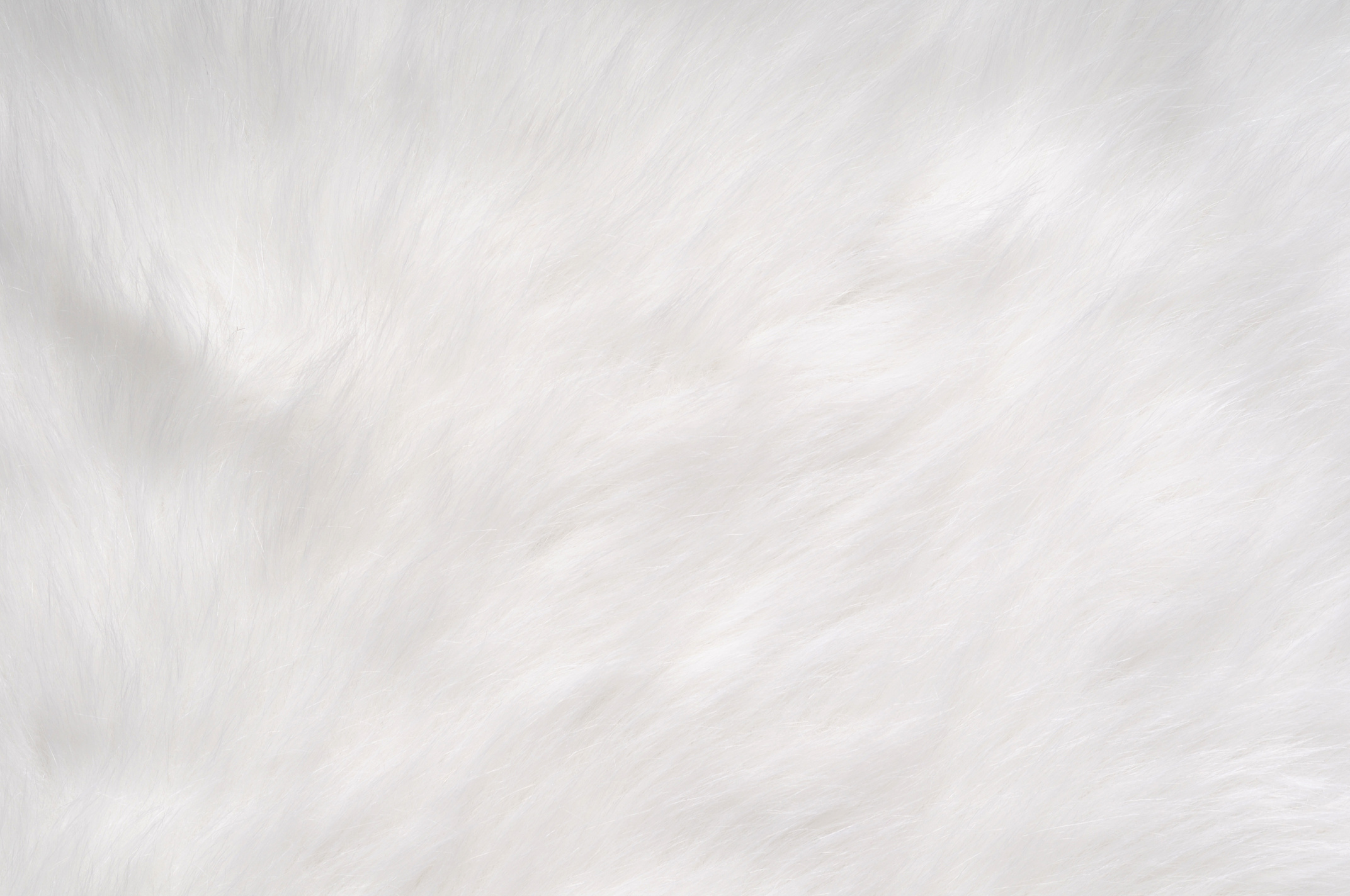 Soft, Furry Background